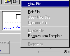 View File Options from the Template Main Menu